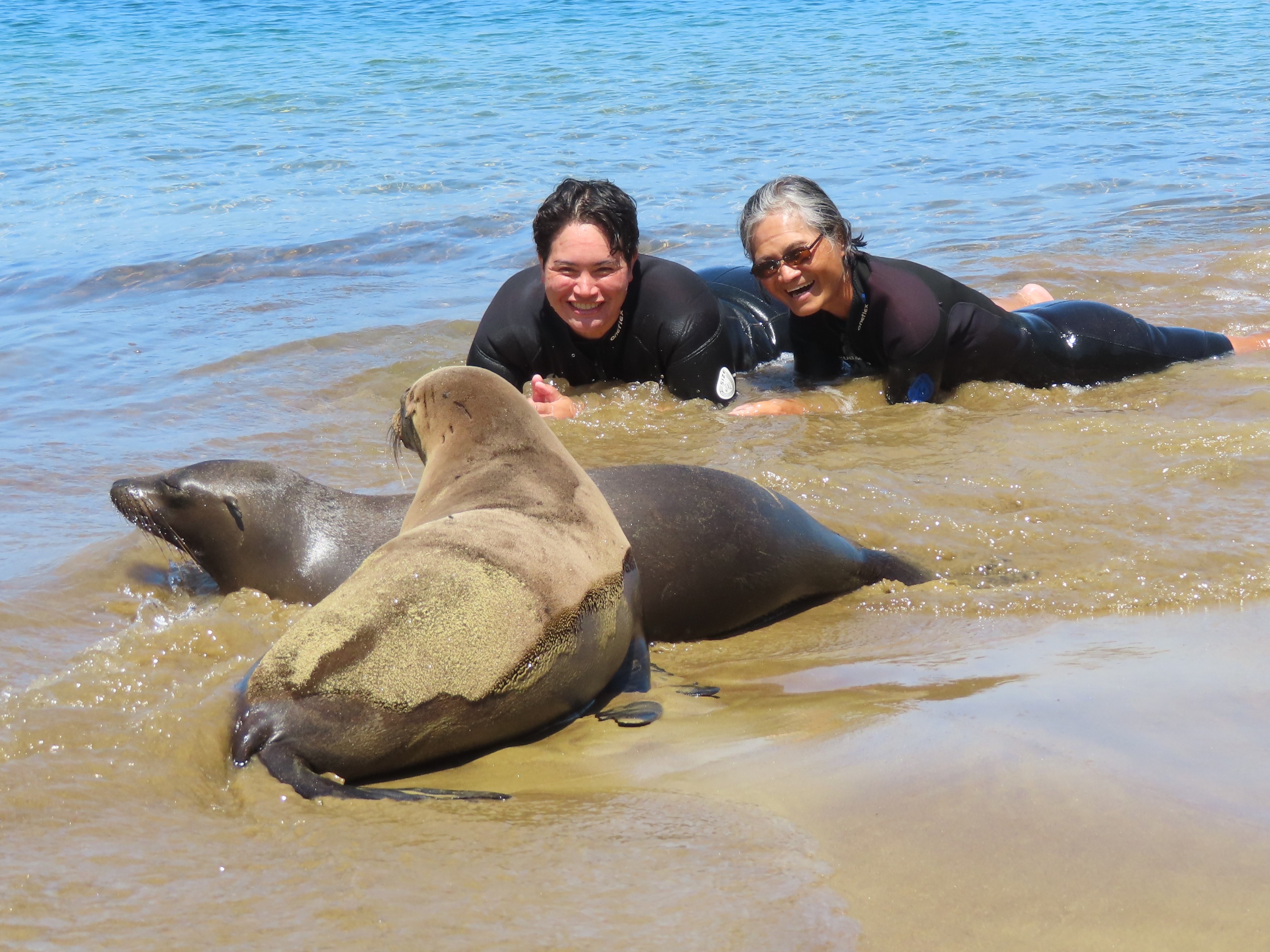 Galapagos Seals travel photograph