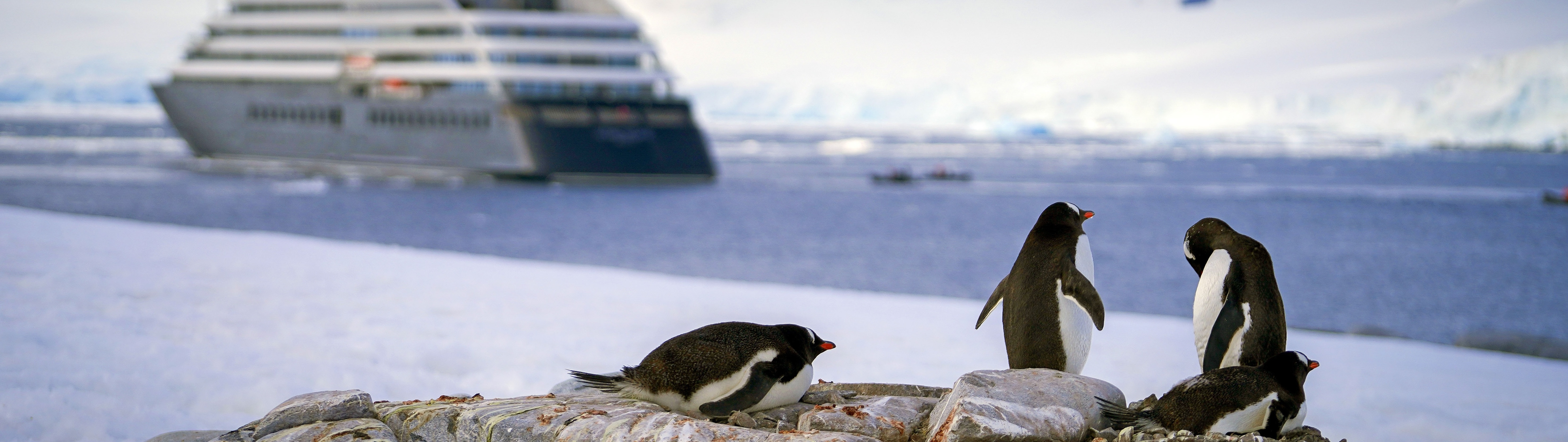 Scenic Eclipse II in Antarctica