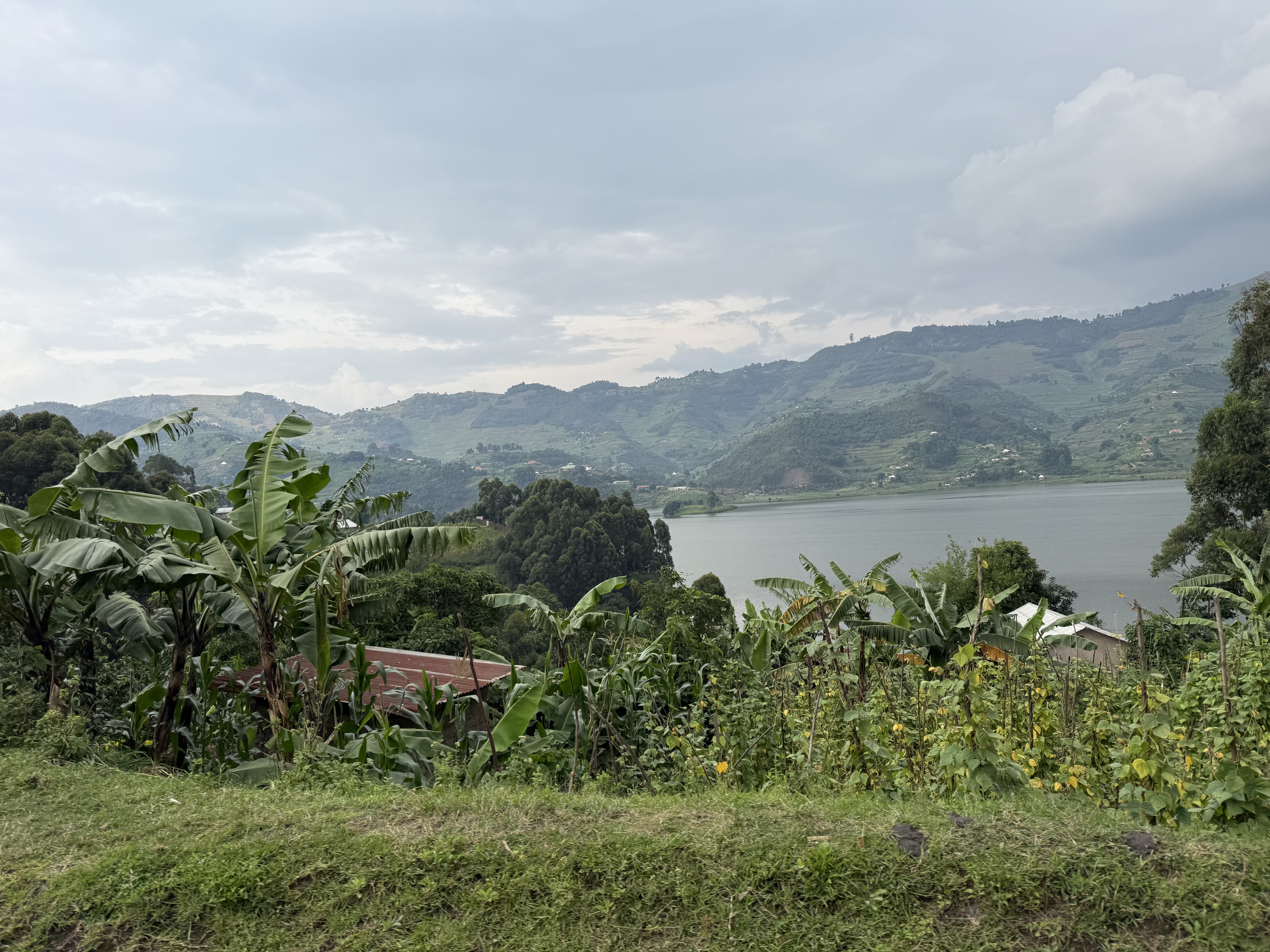 Stunning scenery driving through Uganda