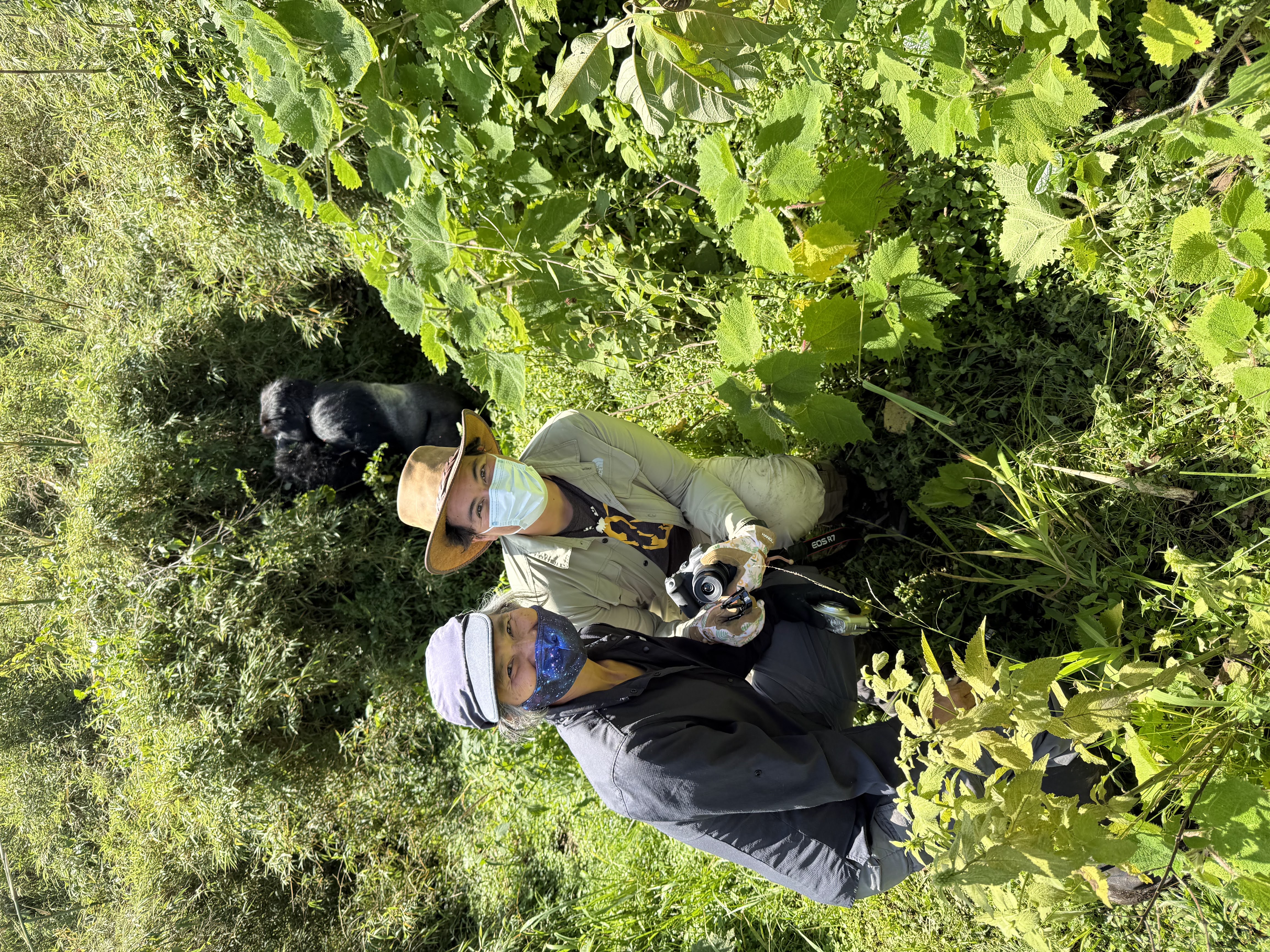 Gorilla trekking in Rwanda